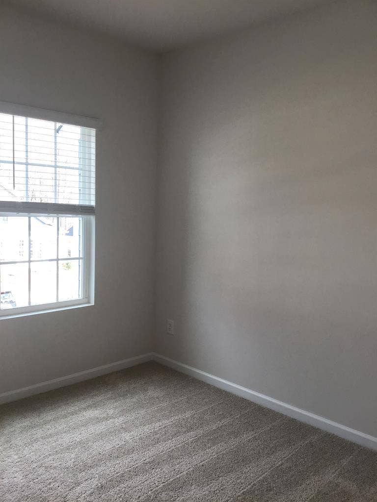 3 BR in Belmont