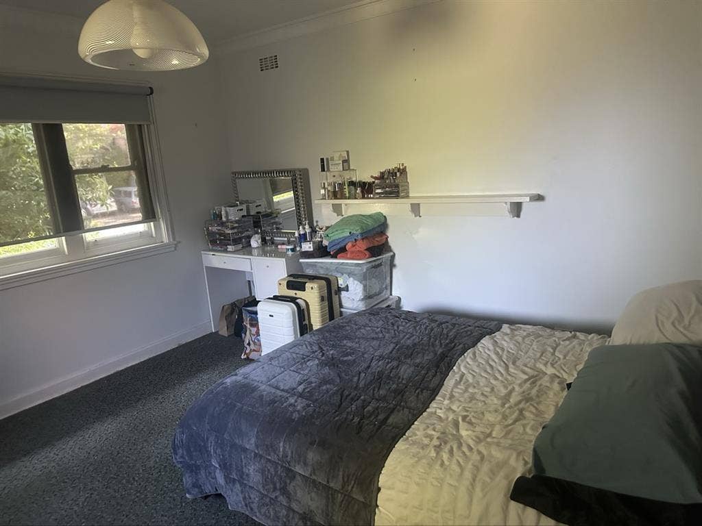 Needing a room mate