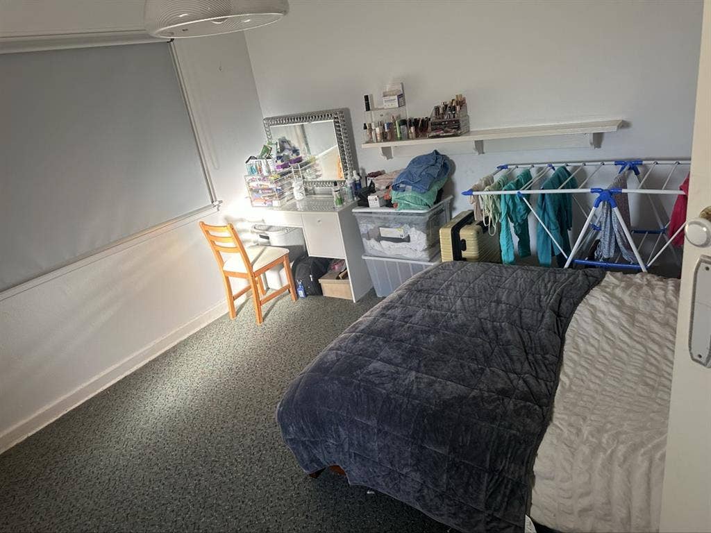 Needing a room mate
