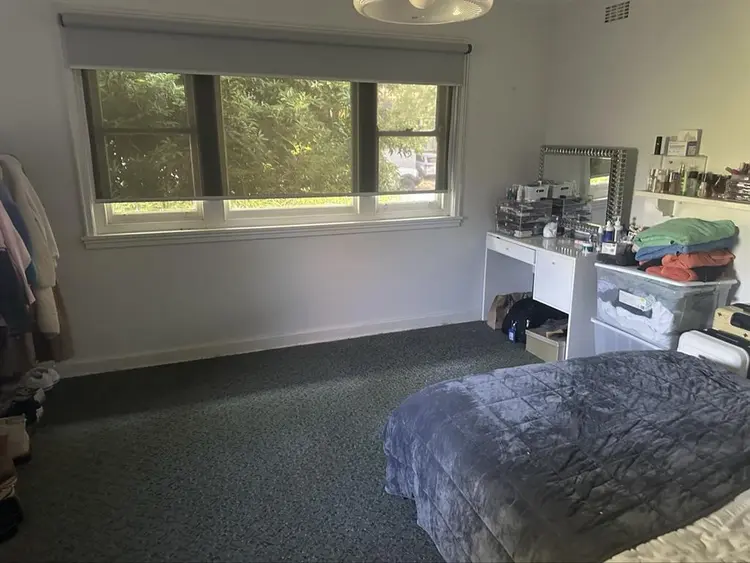 Needing a room mate