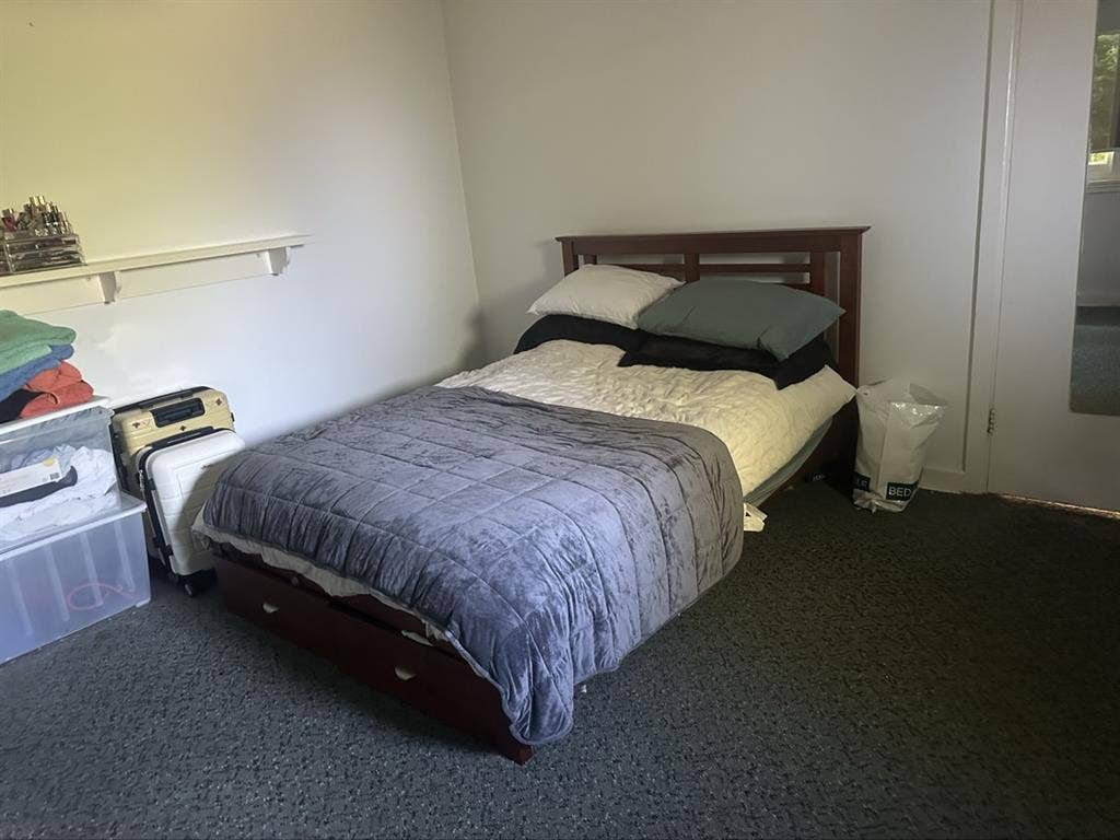 Needing a room mate