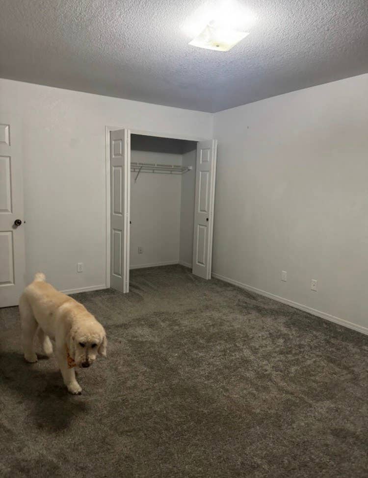 Unfurnished room for rent
