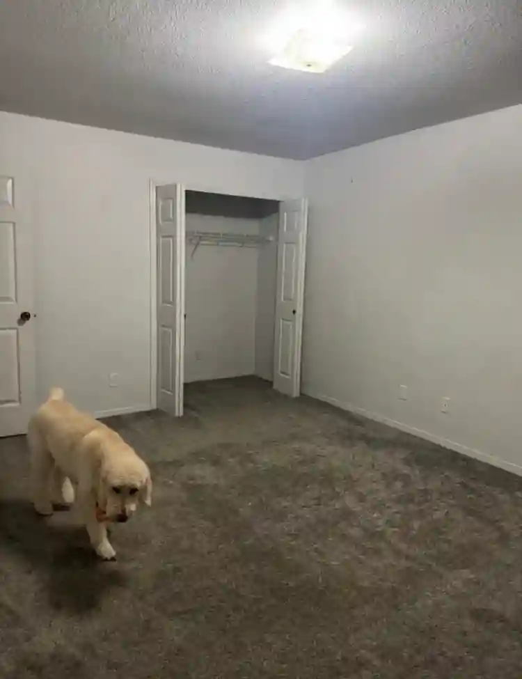 Unfurnished room for rent