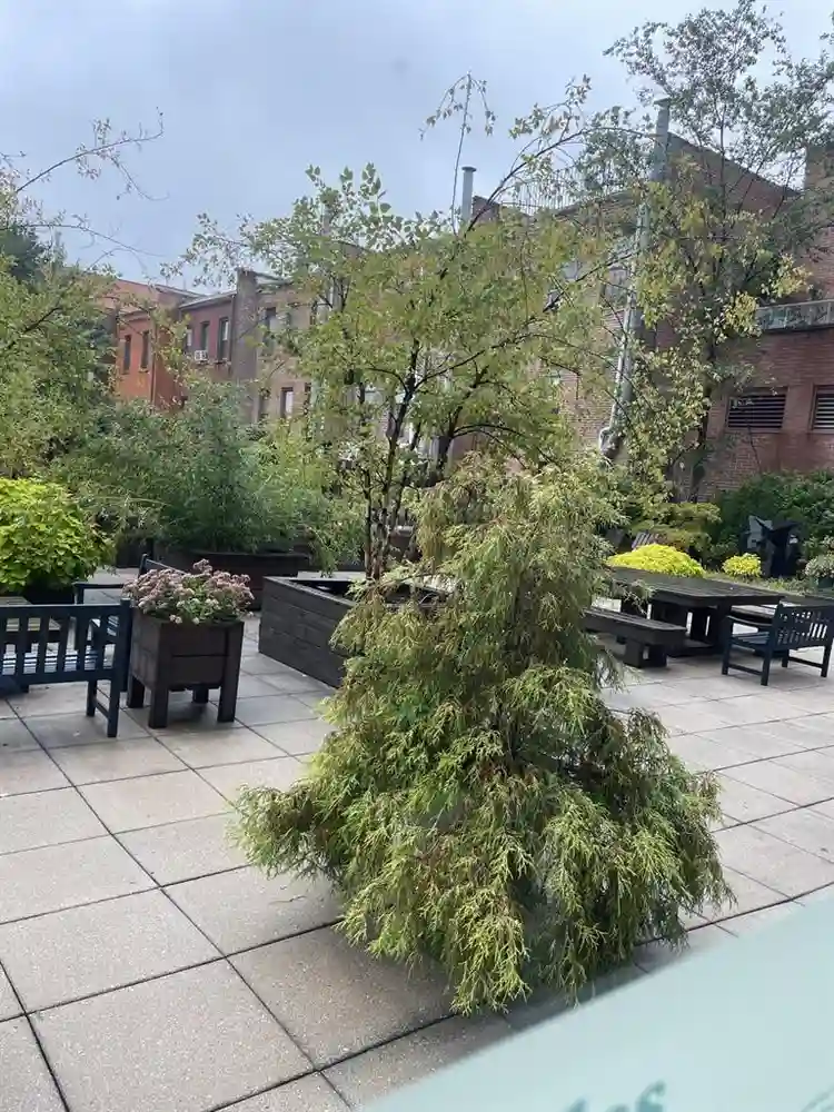 Furnished with park view