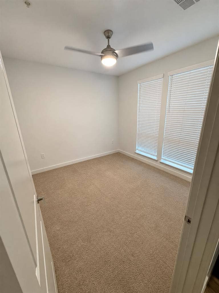 1 bedroom apt in central Austin