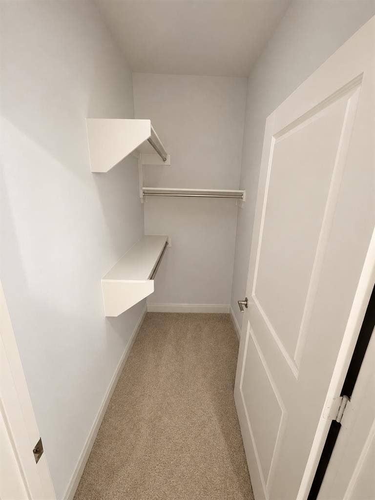 1 bedroom apt in central Austin