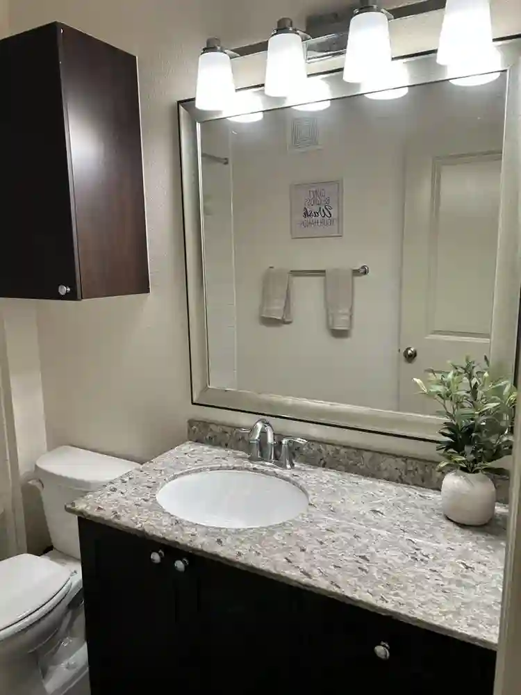 Ashburn Roomie Needed for 2x2