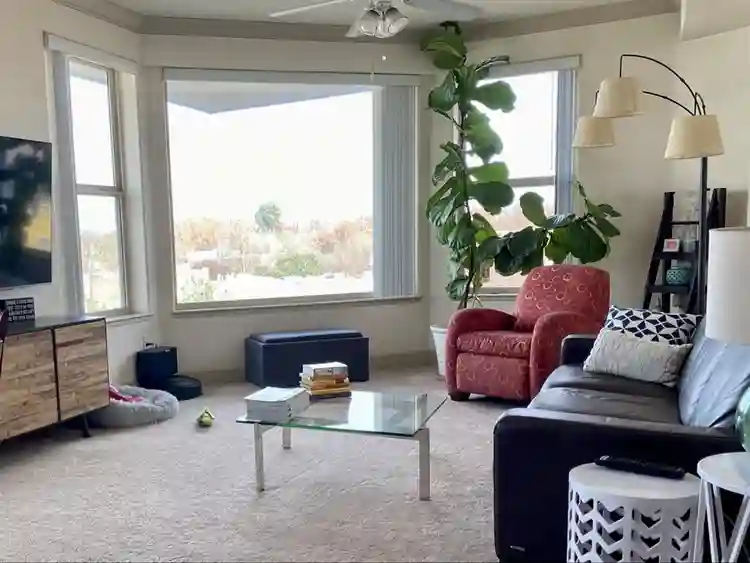 Midtown room + bath + cute dog