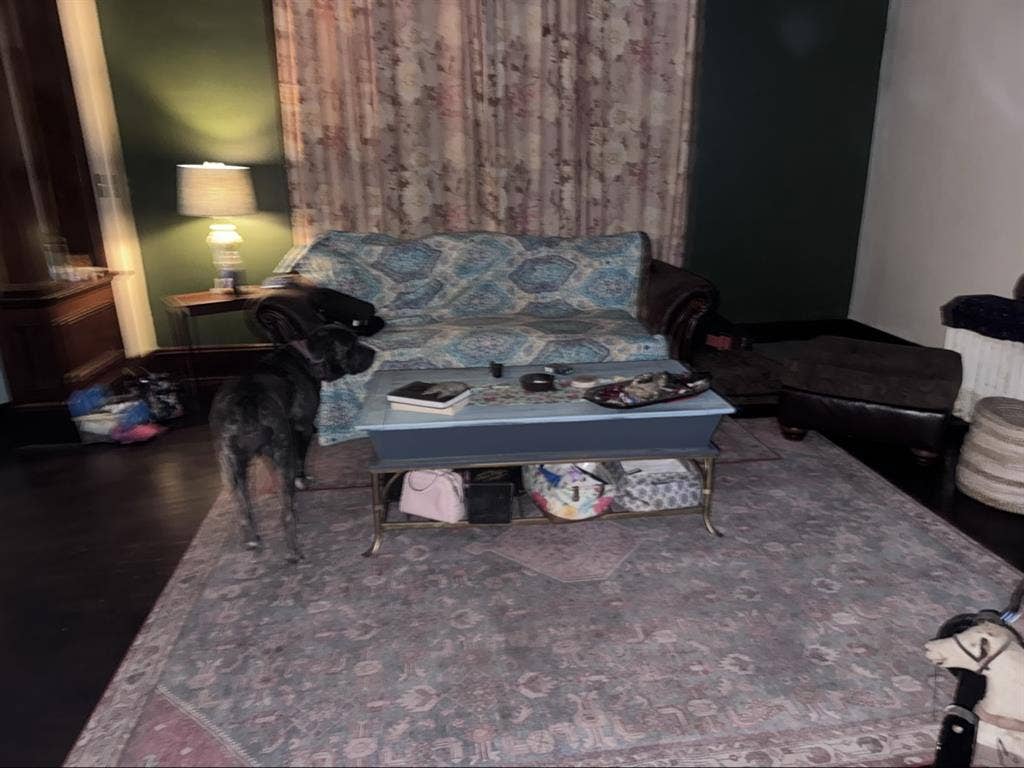 Room 4 Rent Riverland SE