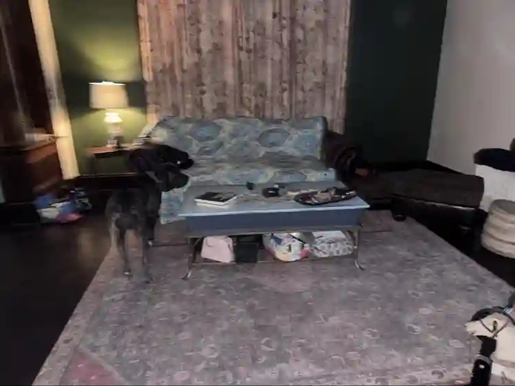 Room 4 Rent Riverland SE