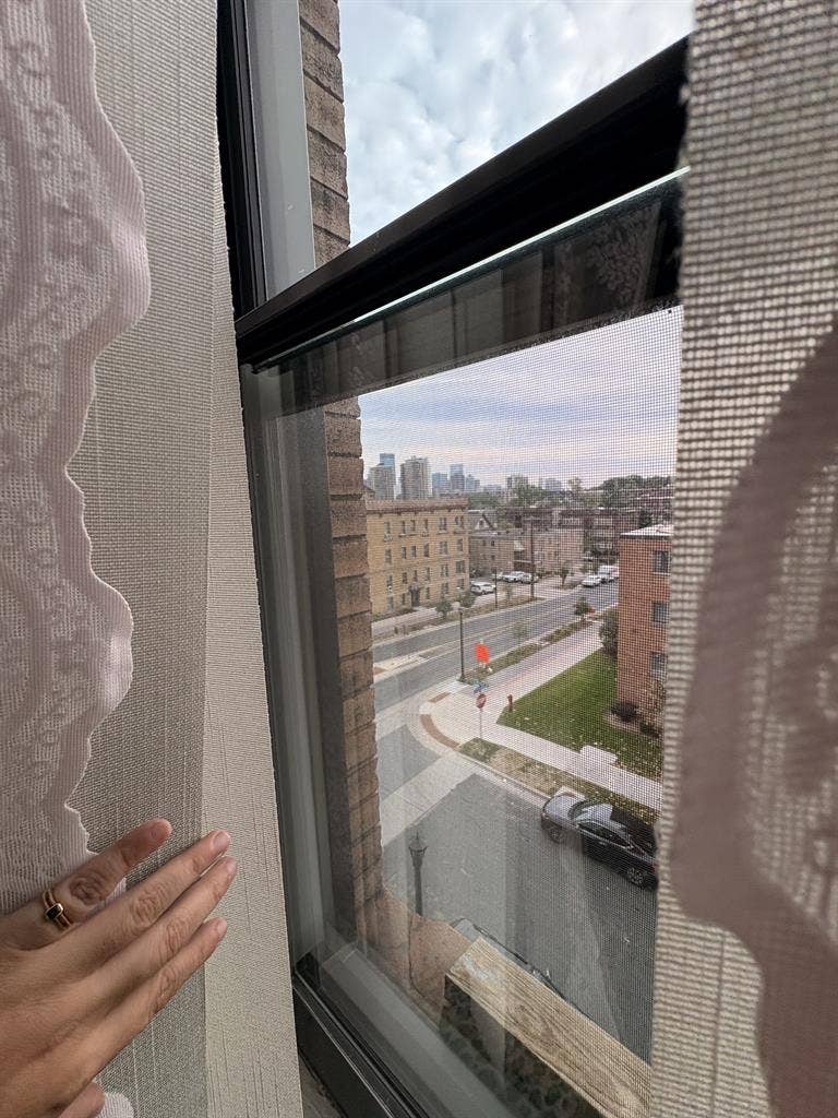1 Bed 1 Bath Apartment