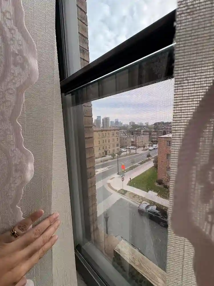 1 Bed 1 Bath Apartment