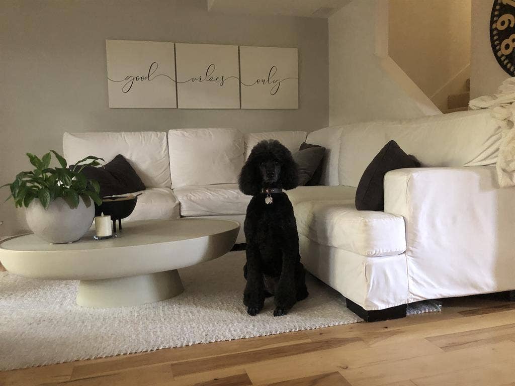 Furnished Private Room in Condo