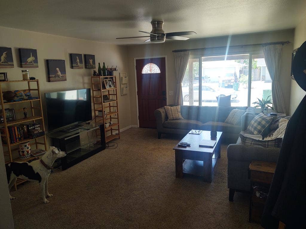 Room available Nov 1st