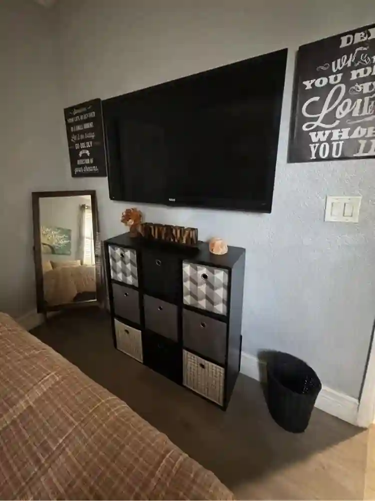 A room for rent. Cat in the house.