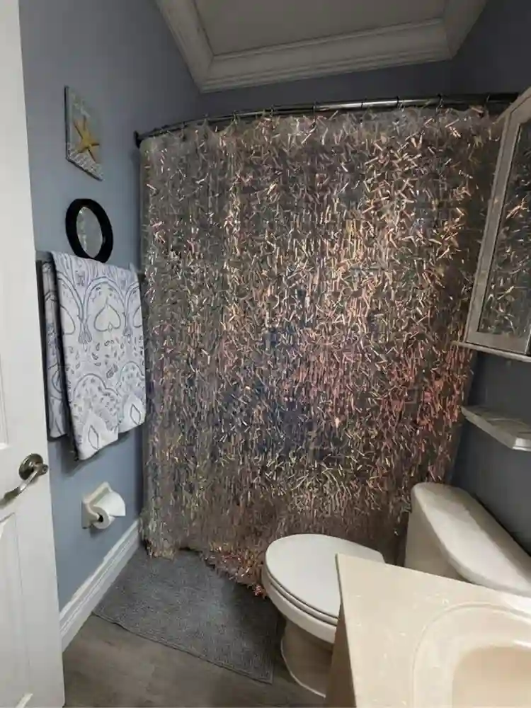 A room for rent. Cat in the house.