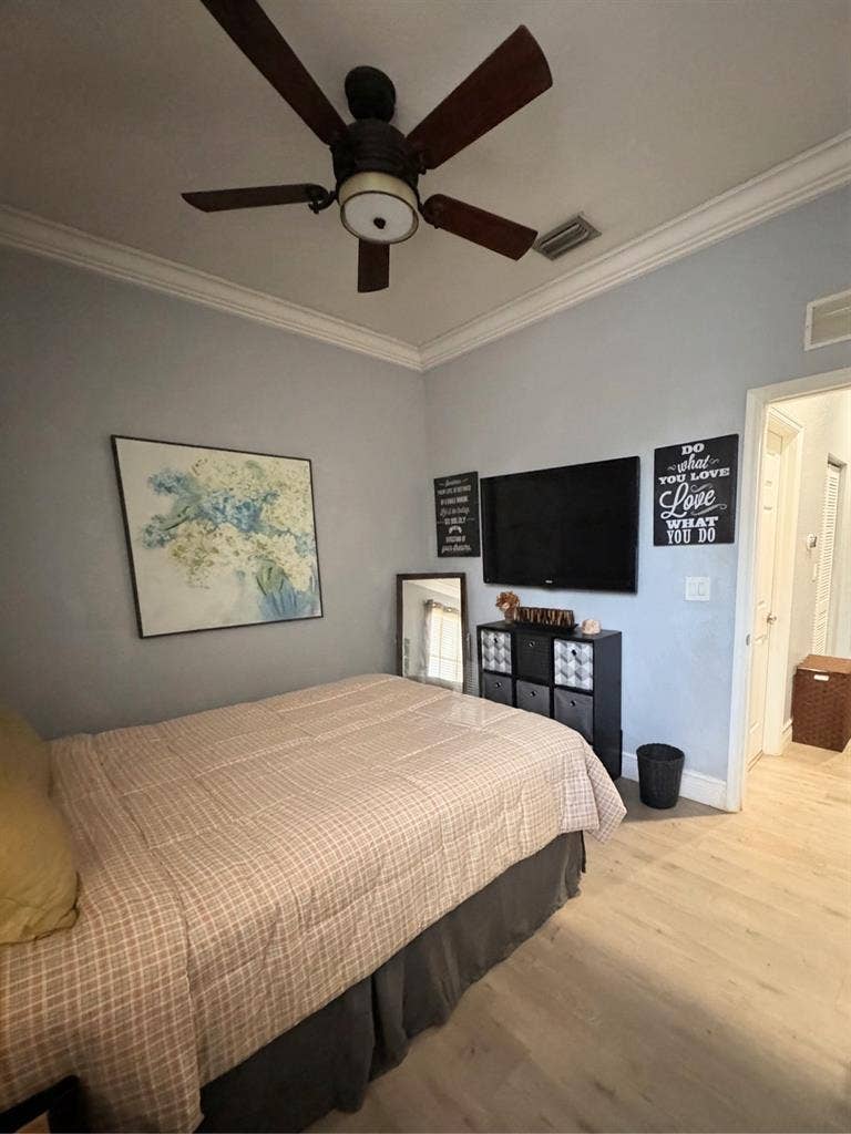 A room for rent. Cat in the house.