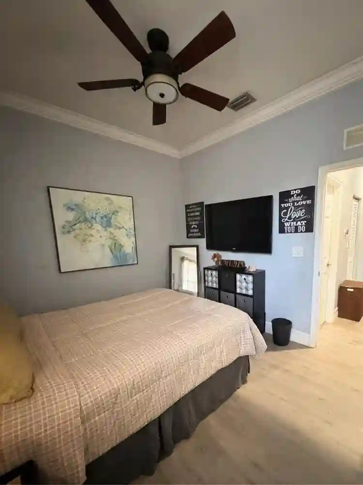 A room for rent. Cat in the house.