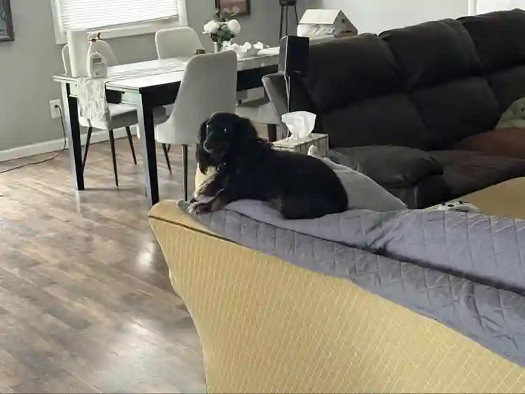 Room available N0v1 possibly sooner