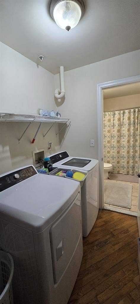 Room for rent immediately