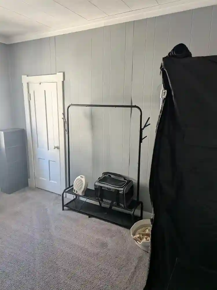 Looking for a roommate. $1000
