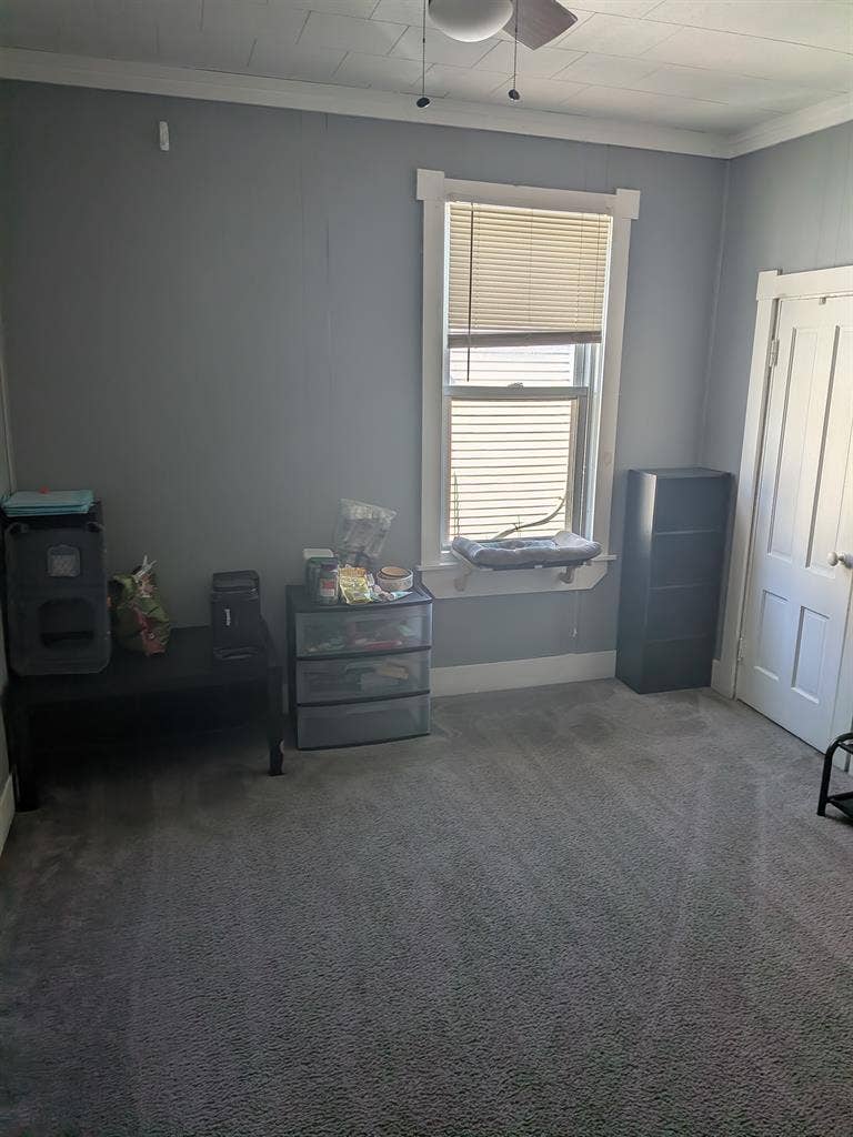 Looking for a roommate. $1000