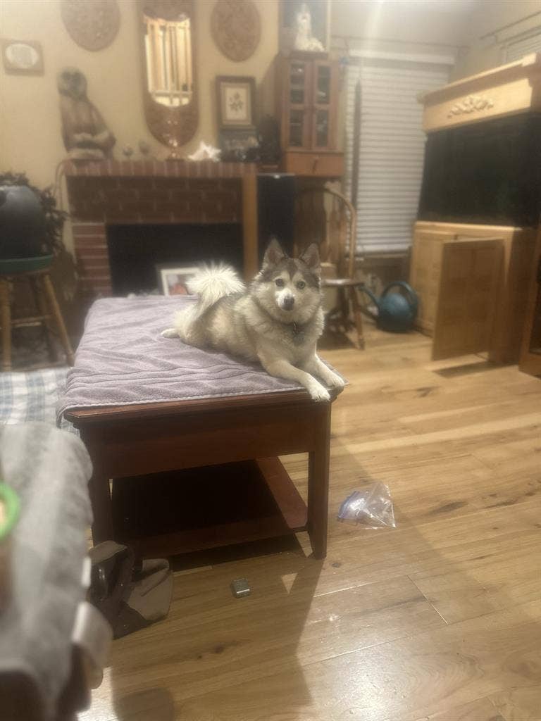 Nice Room and private bath for rent