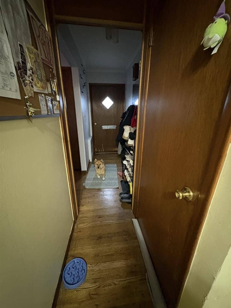 Looking for a Roommate:D