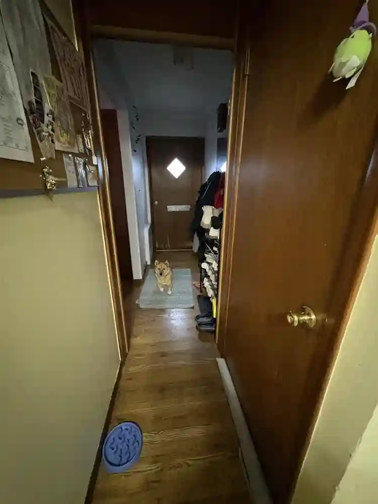 Looking for a Roommate:D