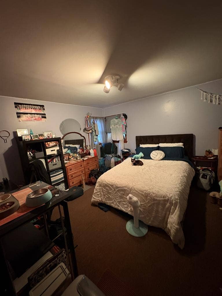 Looking for a Roommate:D