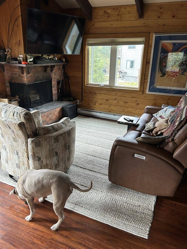 Looking for Roommate