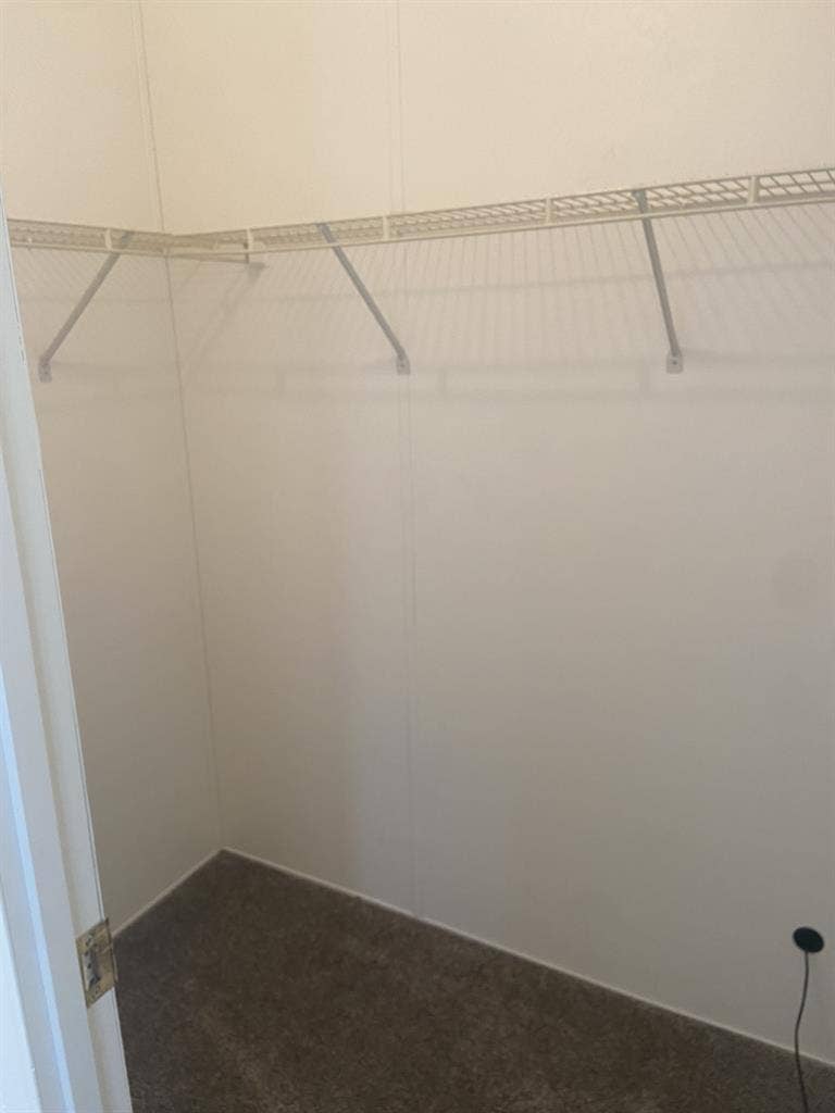 Room and Bath for Rent