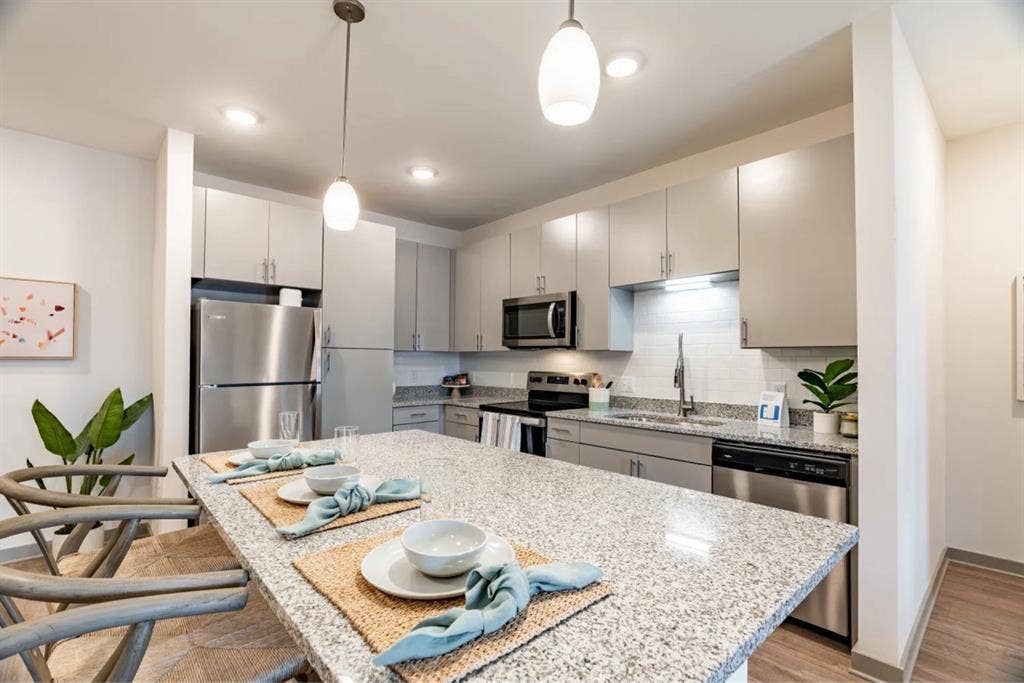 Roommate needed for mid december!