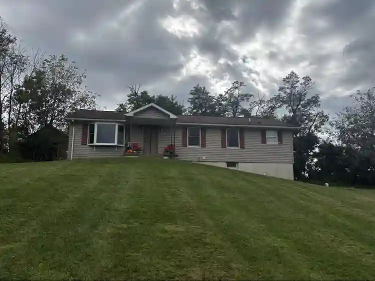 Looking for a roommate