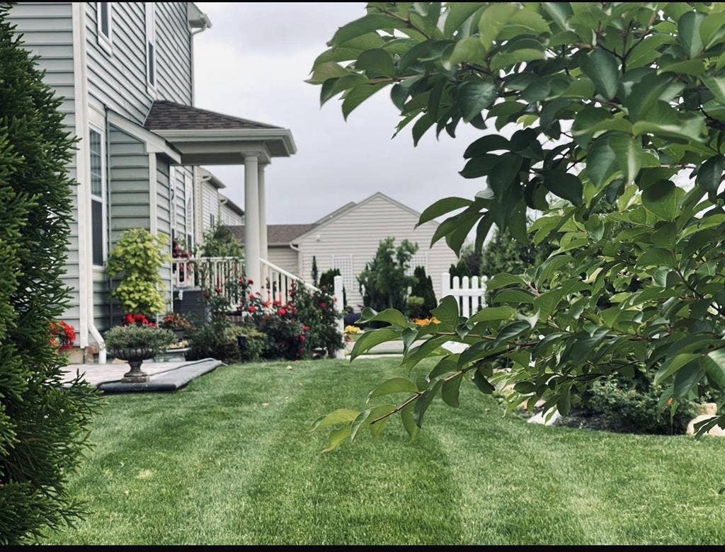 A peaceful place