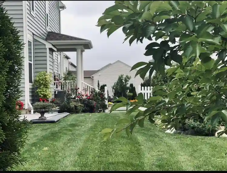 A peaceful place