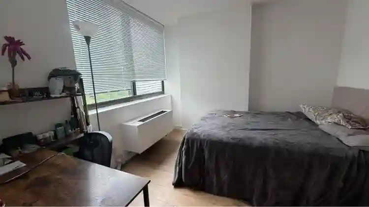 Room available in a 2B1B in Newport