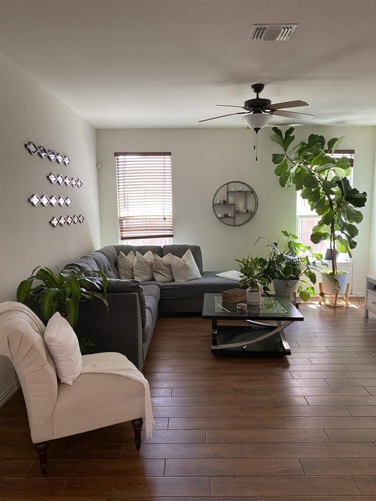 Cozy, clean and organize house!!!