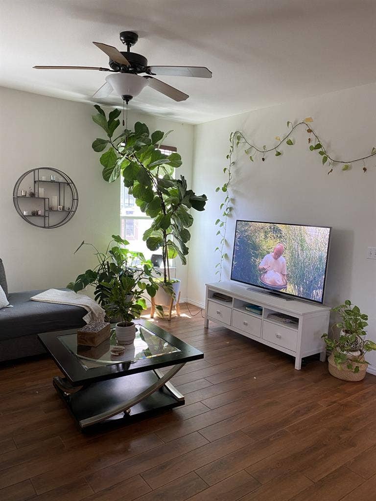 Cozy, clean and organize house!!!