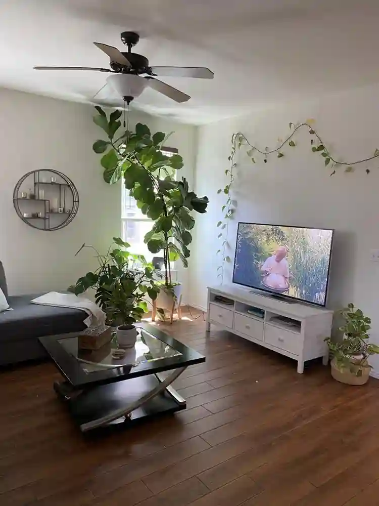 Cozy, clean and organize house!!!