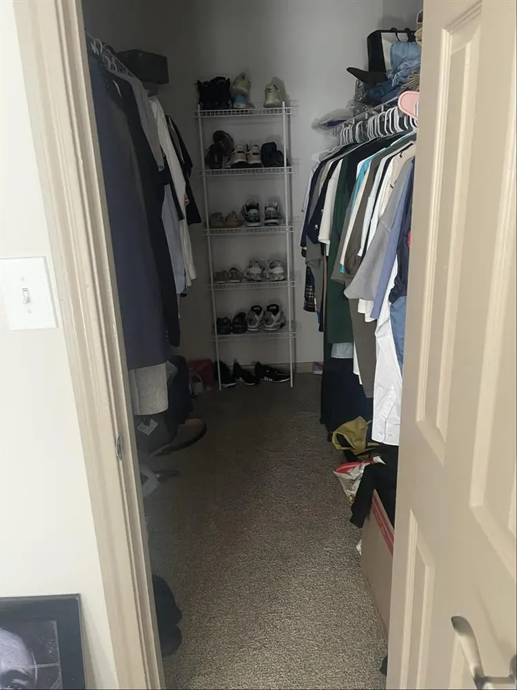 1bd 1bth furnished apartment