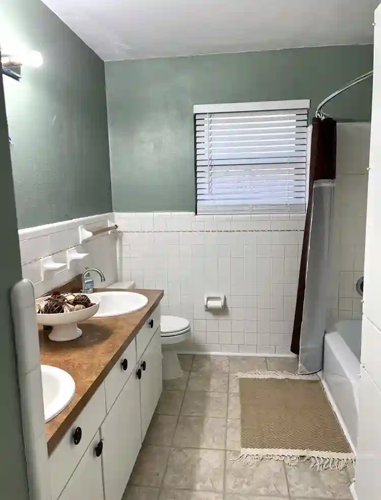 House Share in Denton, TX!