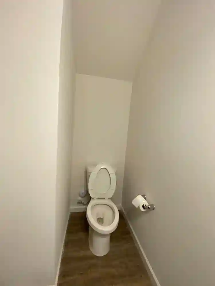 3 BR in Belmont