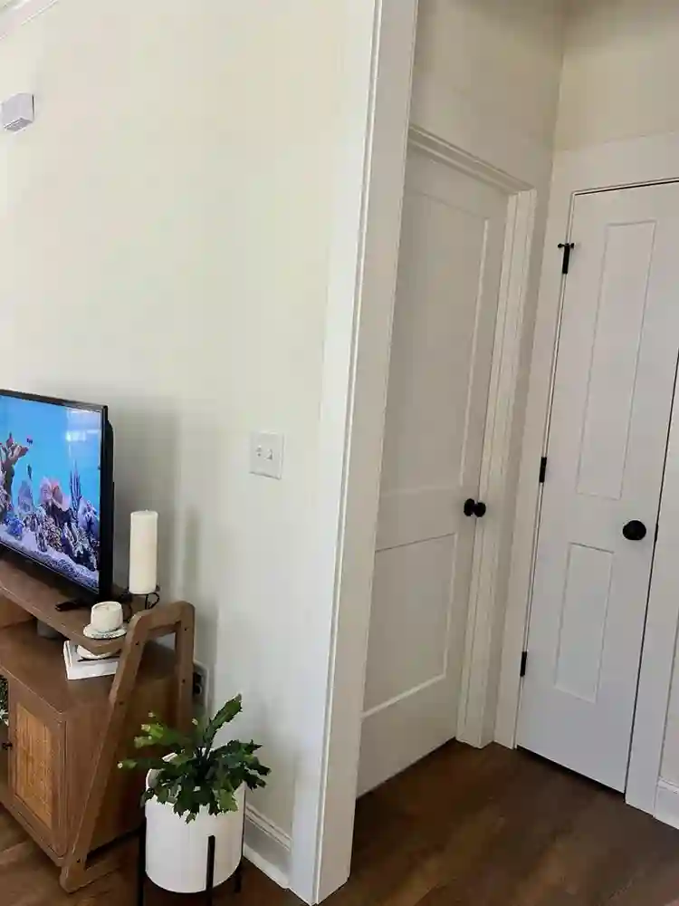 Room /shared living space for rent