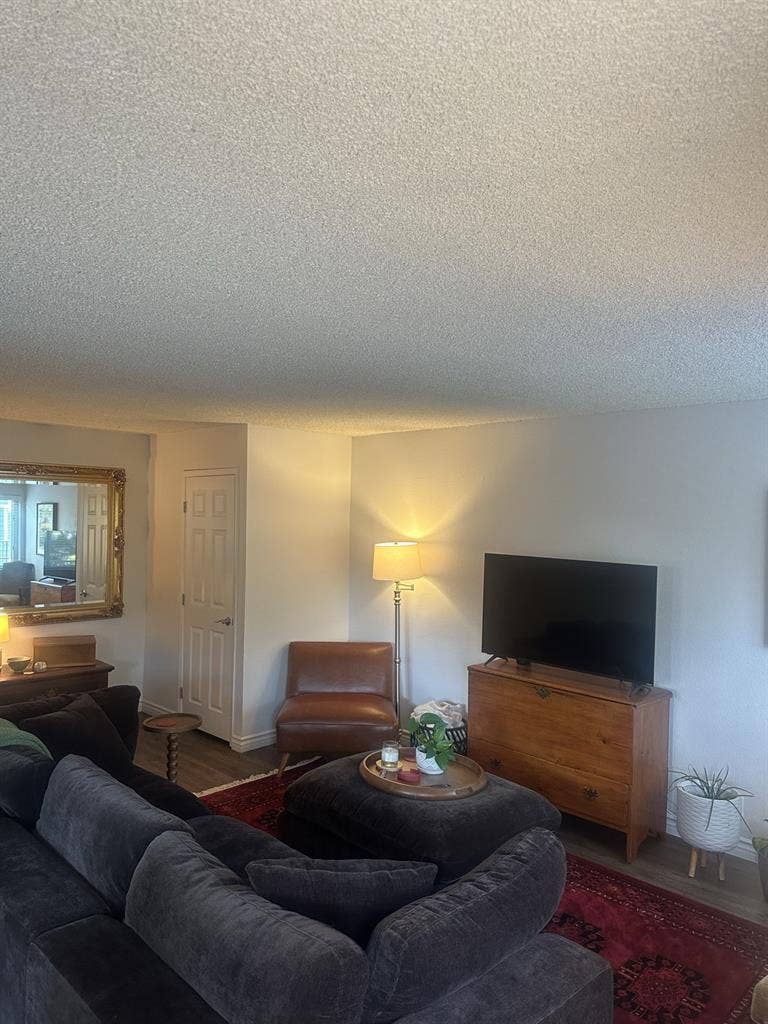 looking for a roommate!