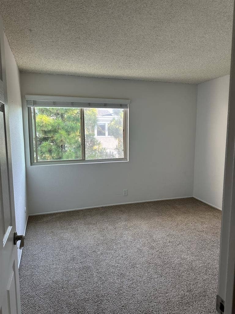 looking for a roommate!