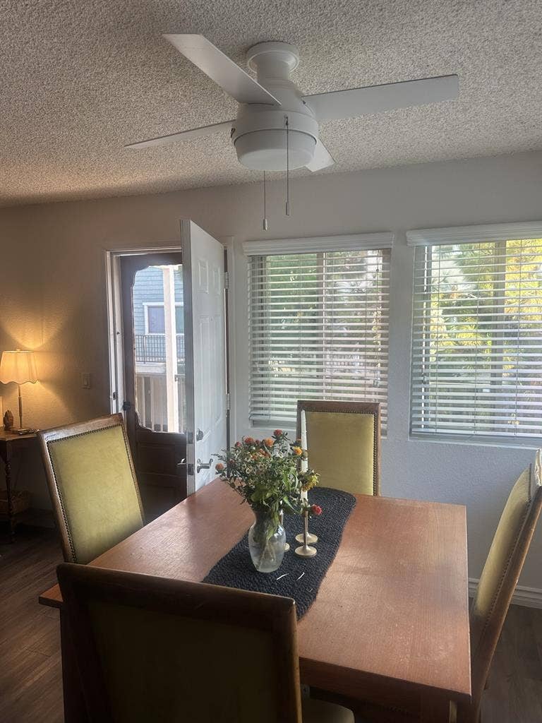 looking for a roommate!