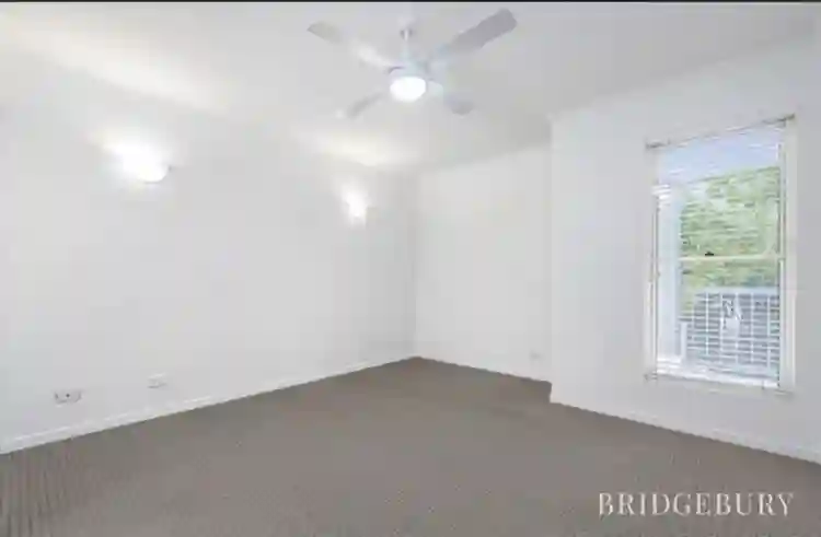 Looking for a roommate