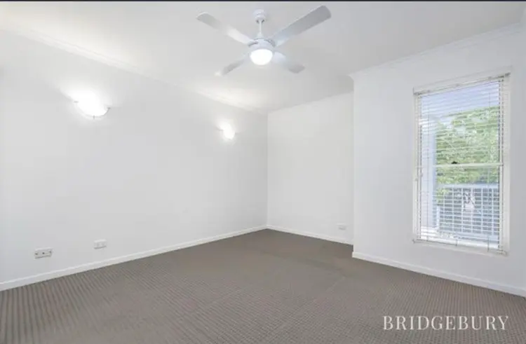 Looking for a roommate