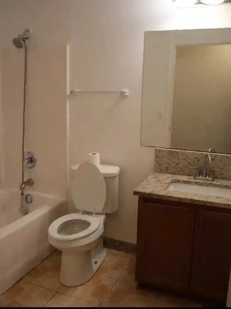 3 BR in Dallas